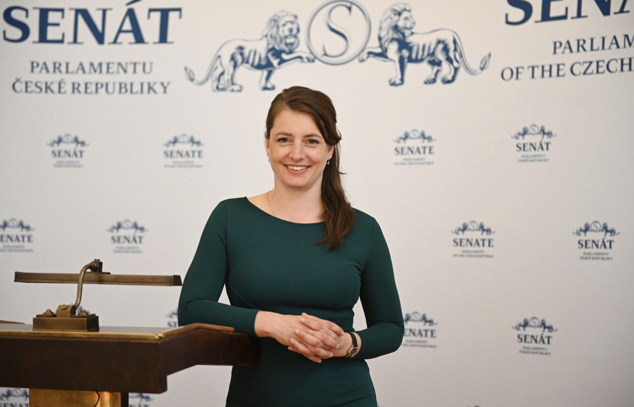 Ombudsman a definice domácího násilí