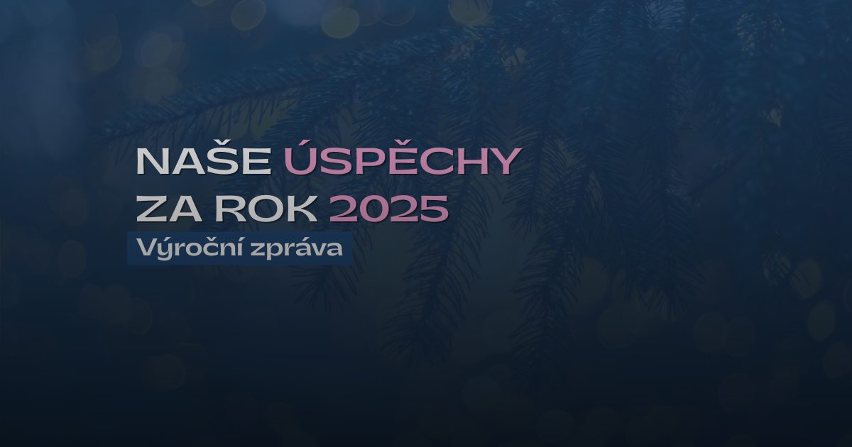 Shrnutí roku 2025